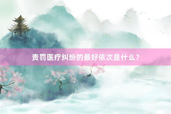 责罚医疗纠纷的最好依次是什么?